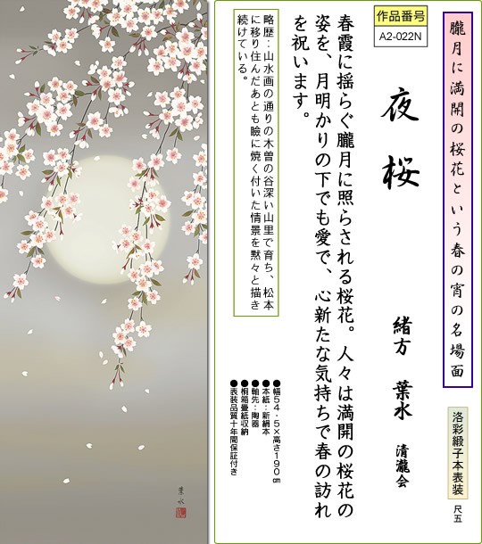 掛軸 掛け軸-夜桜/緒方葉水 花鳥掛軸送料無料(尺五 桐箱 本表装)春用