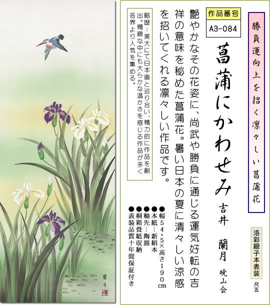 掛軸 掛け軸-菖蒲にかわせみ/吉井蘭月 花鳥画掛軸送料無料(尺五 桐箱 緞子)床の間 和室 おしゃれ モダン ギフト つるす 飾る