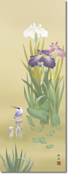 掛軸 掛け軸-菖蒲にかわせみ/長江桂舟 花鳥掛軸送料無料(尺五)夏用
