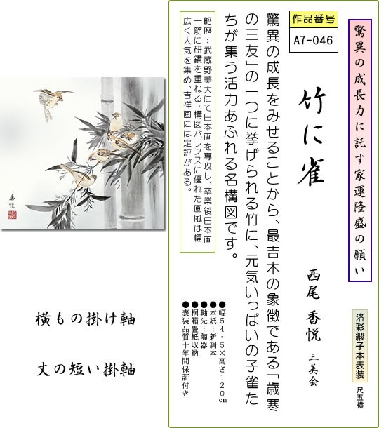 掛軸 掛け軸-竹に雀/西尾香悦 花鳥掛軸送料無料(尺五横 桐箱 本表装)丈の短い掛け軸 床の間 和室 飾る 日常掛け オシャレ モダン  表装幅54.5×高さ120cm