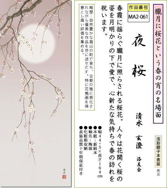 掛軸 夜桜 共箱 春 花 季節 掛軸 掛け軸-夜桜/清水玄澄 花鳥掛軸送料無料(尺三 化粧箱)春用
