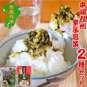 辛子高菜 本場九州産 人気 明太子入り高菜80g & からし高菜90g 食べ比べ 2袋セット 特産品 ご飯のお供 ラーメン 炒飯 お試しグルメギフト