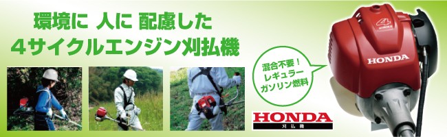 (未使用･未開封品)　キャプテン・シンドバッド [DVD] gsx453j 中古】(未使用・未開封品) NieA_7 DVD-BOX gsx453j その他