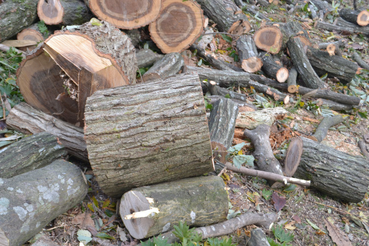 薪 広葉樹 ミックス 約25kg 35cm〜40cm 国内産 MAKI-001 産地直送 送料