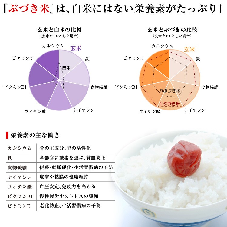 精米機 タイワ製精米機 一般家庭タイプ MAIKO(まいこ) PL-03A 日本製 : pl-03 : プラウ オンラインストア - 通販 -  Yahoo!ショッピング