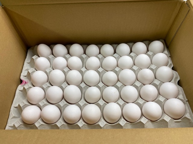 クール便　3Kg   ★タマゴの白身★ クール便 3Kg ☆タマゴの白身☆