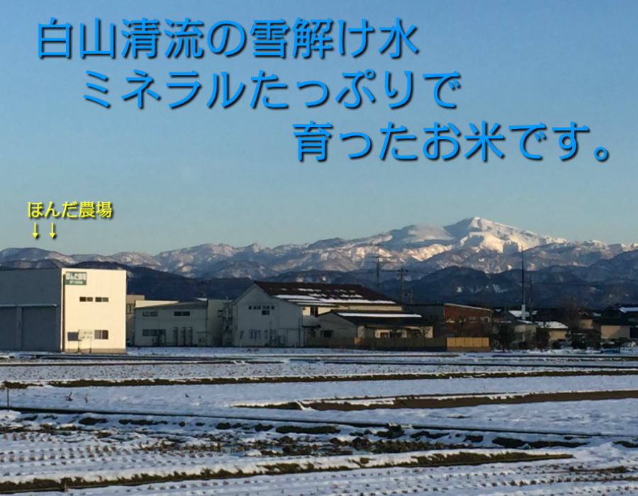 霊峰白山からのきれいな水と無農薬で育てた有機栽培米