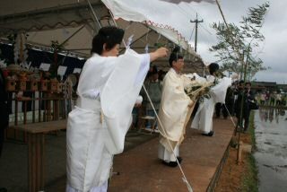 辻本さんの献穀田田植え