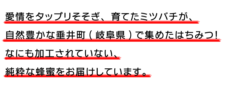 はちみつ(国産)　春の里山蜜