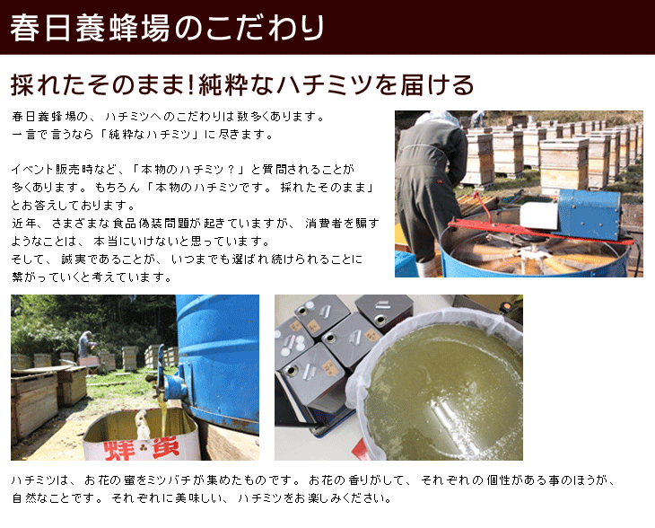 はちみつ(国産)　春の里山蜜