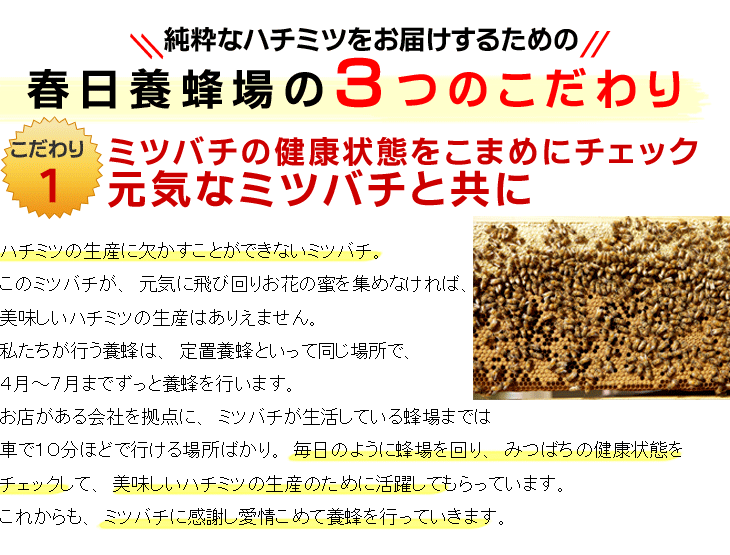 はちみつ(国産)