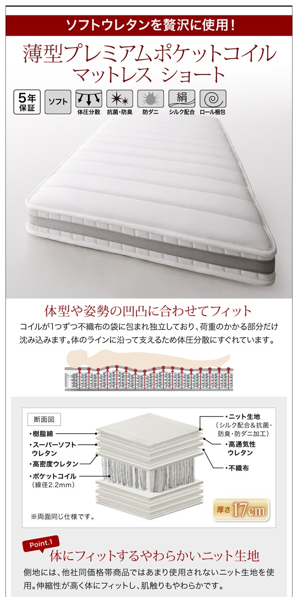 組立設置付 国産収納ベッド Clory Short クローリーショート 薄型