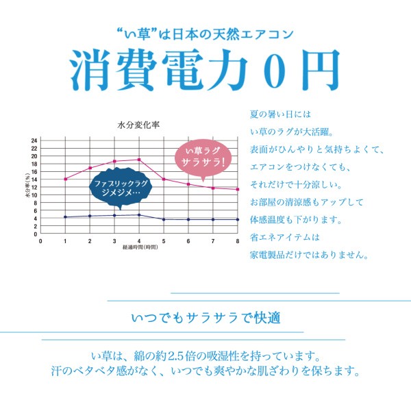 掛川織国産デザインい草ラグ 礎 いしずえ 不織布なし 191×191cm[S4][00