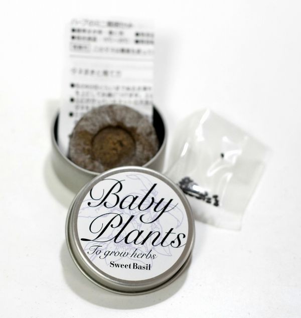 完売 ボトルハーブス 栽培キット 発芽保障 ワイルドストロベリー チリペッパー とうがらし バジル ミント 香草 栽培セット 聖新陶芸 Flyingjeep Jp