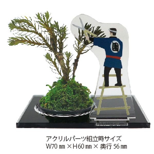 つくる盆栽 ドライ盆栽作成キット 盆栽 キット[02] : 本家屋 - 通販