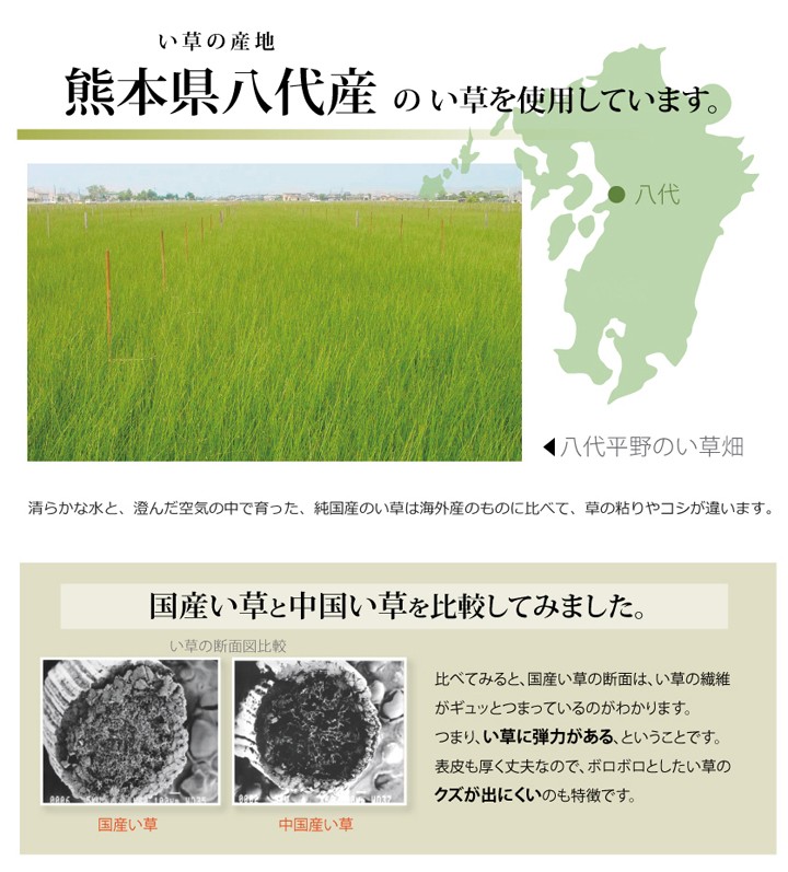 純国産 い草 上敷き カーペット 糸引織 『立山』 本間10畳（約477×382cm） 熊本県八代産イ草使用[13] 878oG8GoYI,  置き畳、システム畳 - tristanmiller.com.au