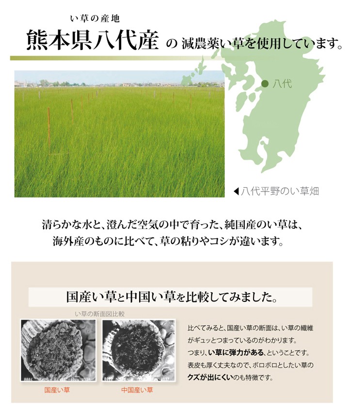 純国産 減農薬栽培 い草 上敷き カーペット 糸引織 『西陣』 江戸間6畳