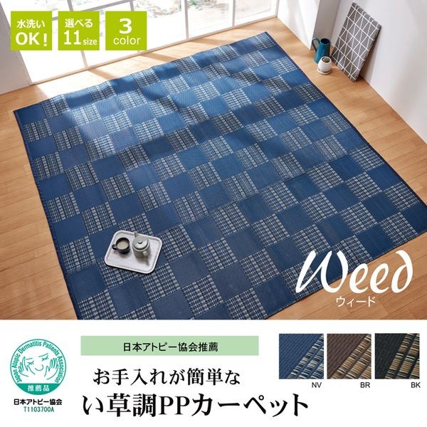 ラグ 洗える PPカーペット 『ウィード』 ブラウン 本間3畳(約191 ...