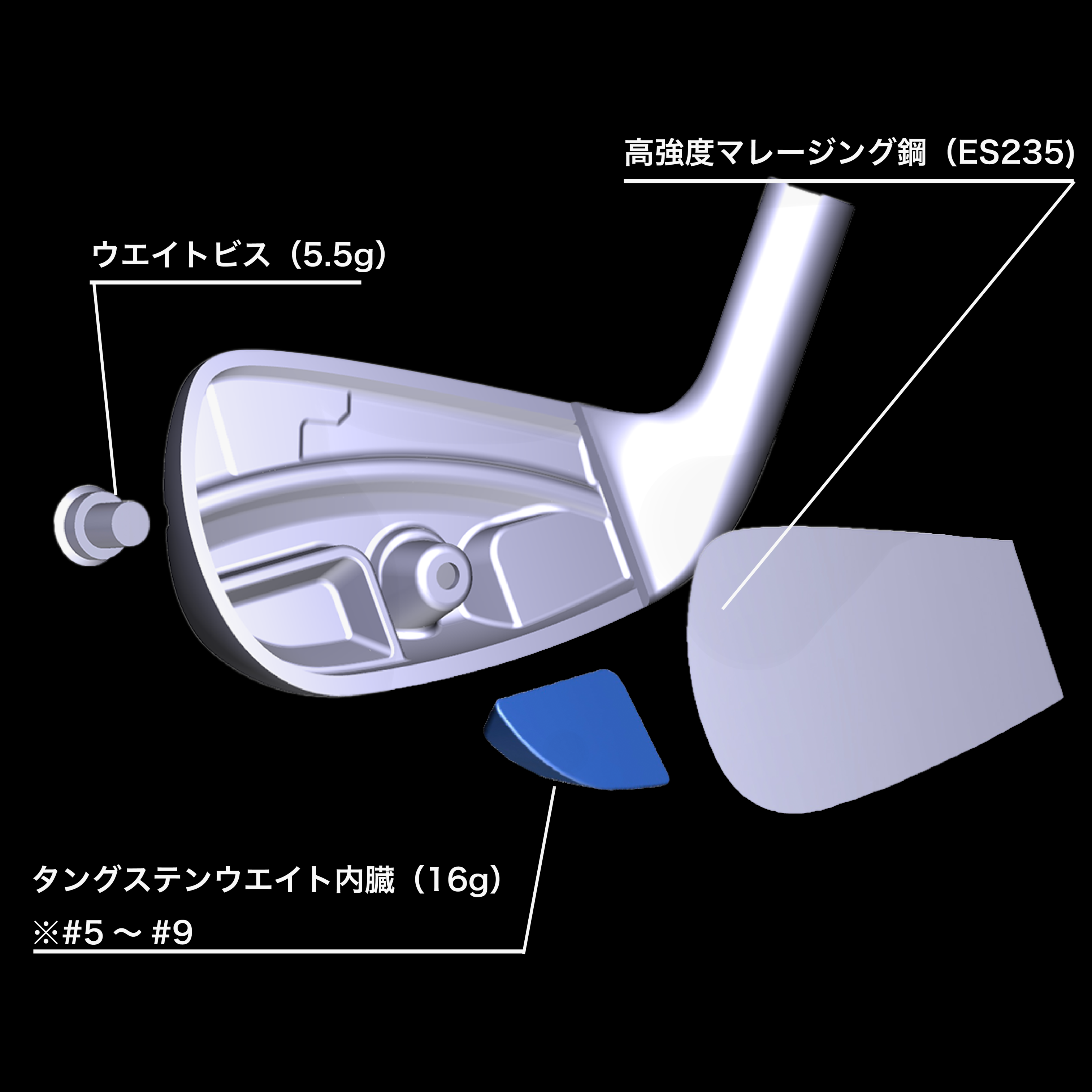 TOUR WORLD 本間ゴルフ T//WORLD Hx アイアンセット #6~P 5本組 VIZARD