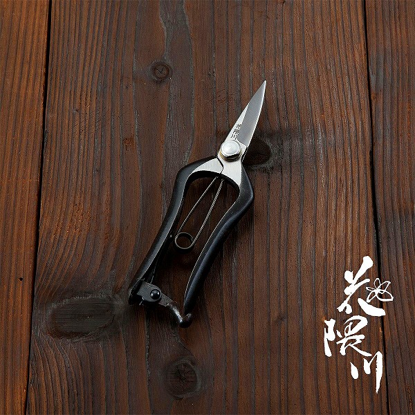 現在入手困難。持ったまんま芽切り鋏。短期出品。日本製 芽切鋏 170mm 両刃 4580149746404.jpg