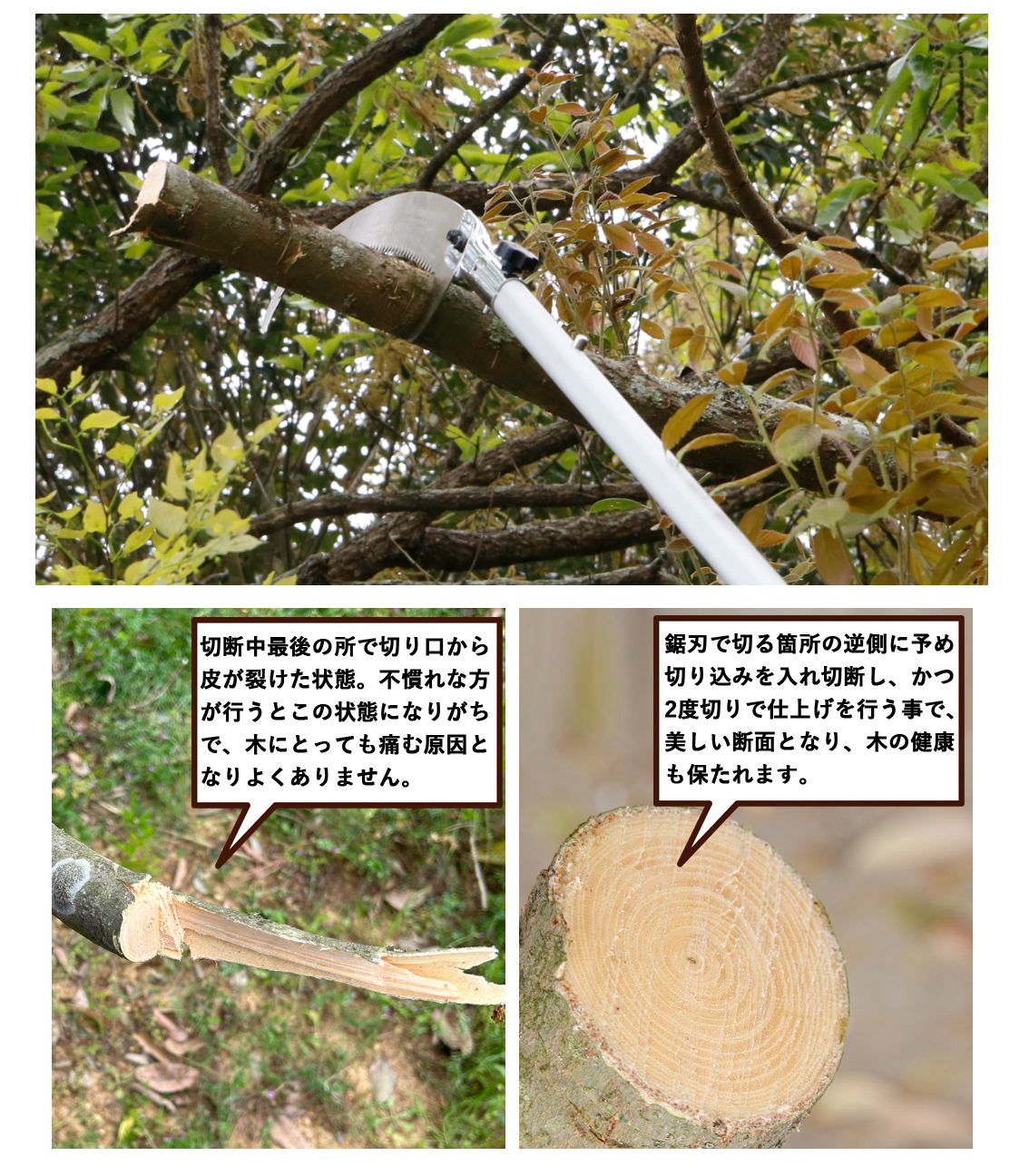 切り口比較
