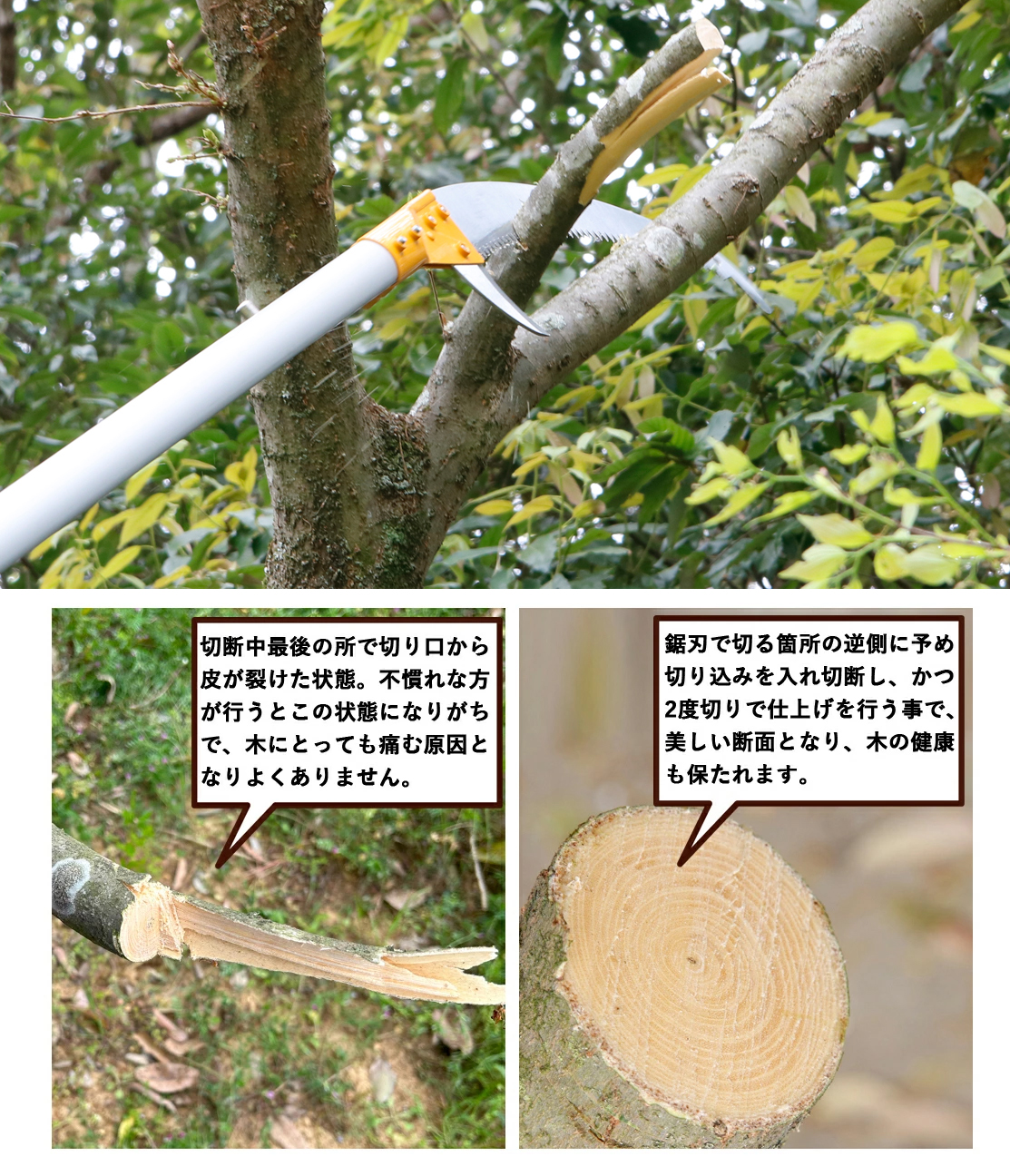 切り口比較