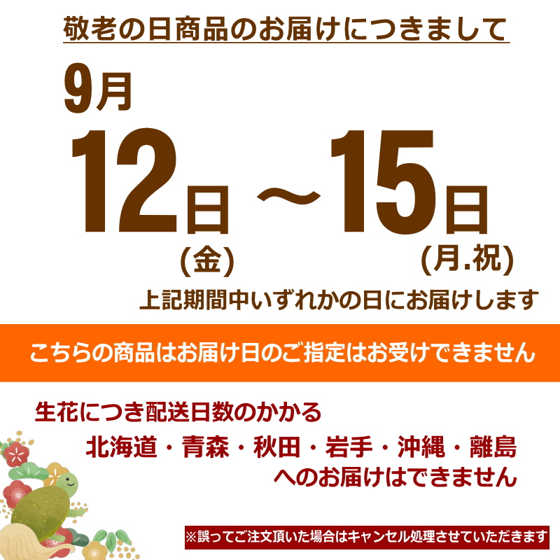 ギフトに最適