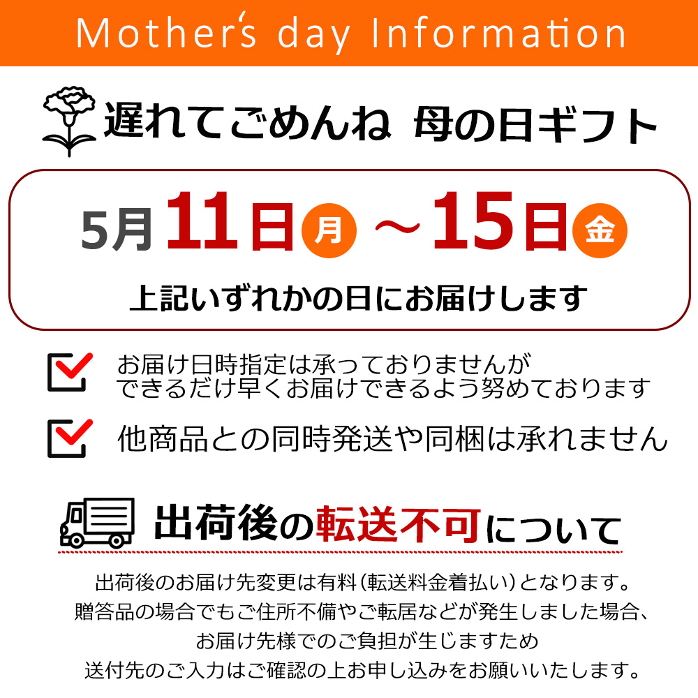 母の日インフォ1