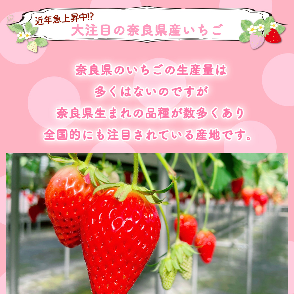 奈良県産 3色いちごパック 36個] 赤 白 ピンク 小粒 80gパック イチゴ