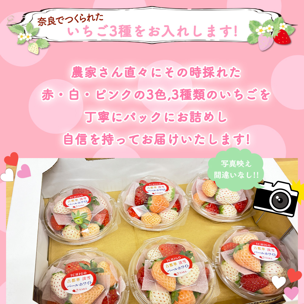 奈良県産 3色いちごパック 36個] 赤 白 ピンク 小粒 80gパック イチゴ