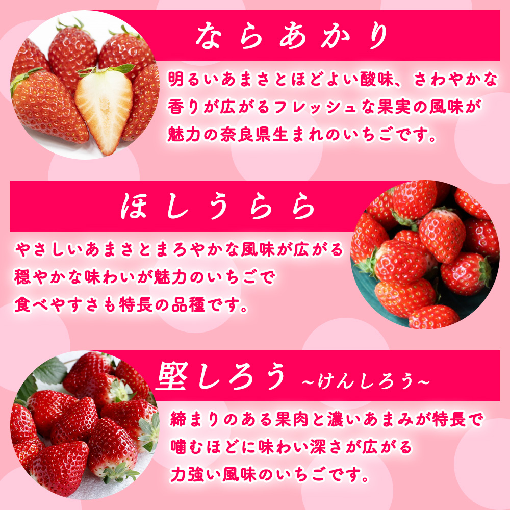 奈良県産 3色いちごパック 18個] 赤 白 ピンク 小粒 80gパック イチゴ