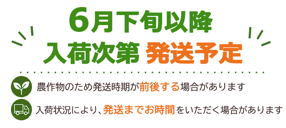 時期
