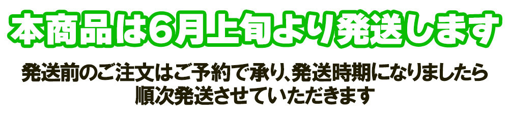 6月上旬
