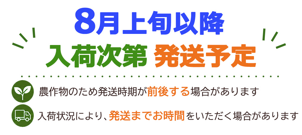 8月上旬