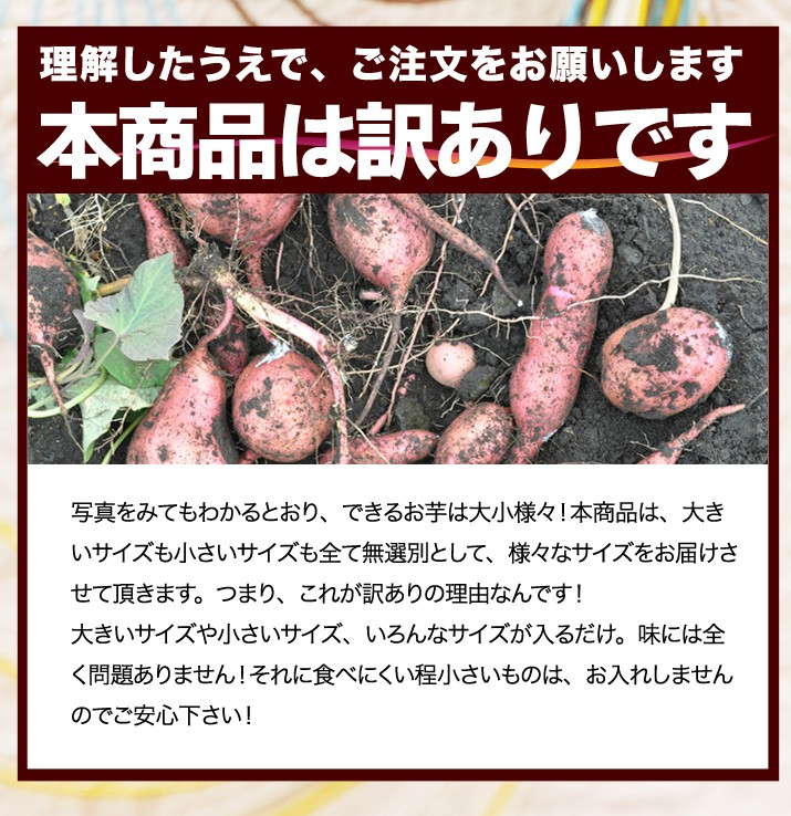 安納芋 種子島産 極小サイズ 送料無料 訳あり 5kg 小さいミニサイズのさつまいも サツマイモ【MR】 [向井さんの安納芋極小サイズ5kg] :  yasai-annnou-s : ほんまもん屋&Hanaファクトリー - 通販 - Yahoo!ショッピング