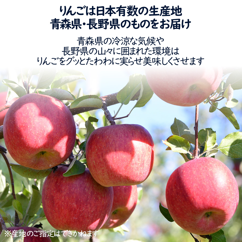 りんご 計6玉 1.5kg 訳ありではございません リンゴ 林檎 産地・品種 はおまかせ 青森 長野 つがる ふじりんご シナノスイート【MN】  [りんご 6個 1.5kg]