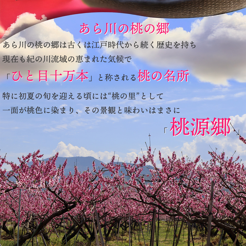 あら川のもも