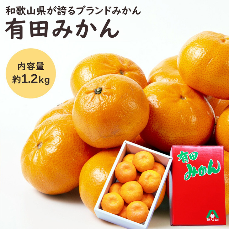 有田みかん 箱」の人気商品一覧 | 安い商品を通販サイトから探す