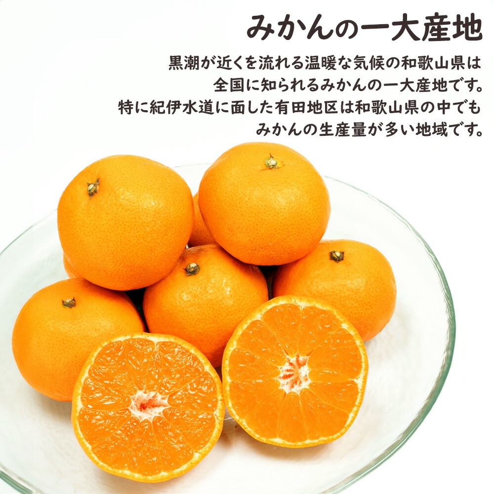 AQ有田みかん ケース 箱売り 和歌山 10kg S M ミカン 蜜柑 フルーツ