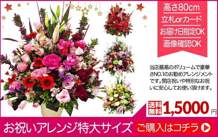 誕生日 開店祝い お祝い 御祝 卒園 卒業 退職 女性 花 フラワー 誕生日 開店祝い お祝い 御祝 卒園 卒業 退職 女性 花 フラワー