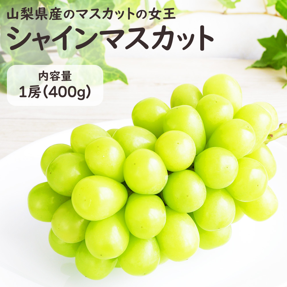 シャインマスカット 山梨県 長野県産 化粧箱 贈答 1房 400g ぶどう 種