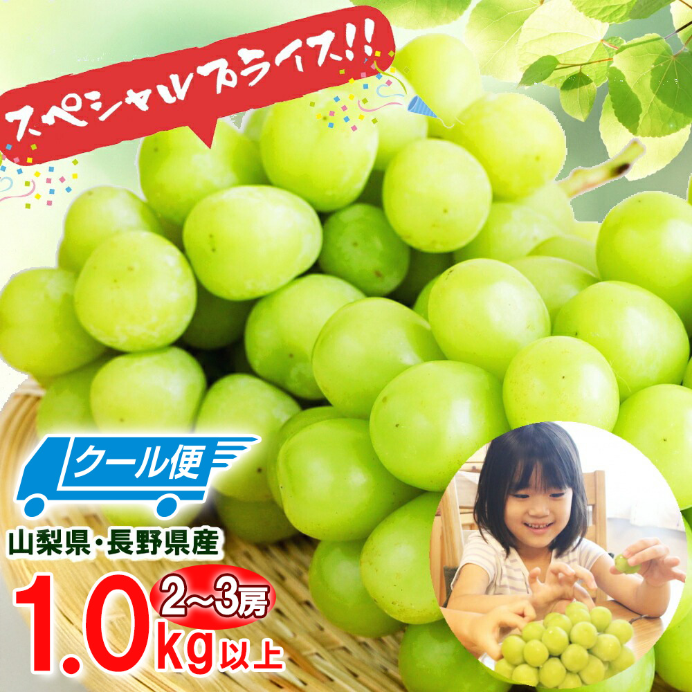 VC}XJbg Ԃǂ }XJbg 1kgȏ 2-3[ ① R  t[c ʕ 󂠂 p yBOz[VC}XJbg 1kg:①]