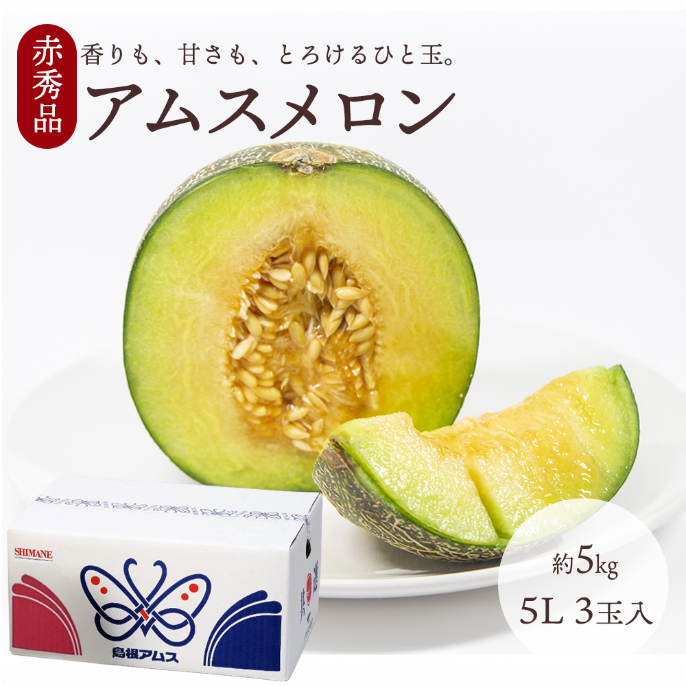 アムスメロン 食品 フルーツ」の人気商品一覧 | 安い商品を通販サイト