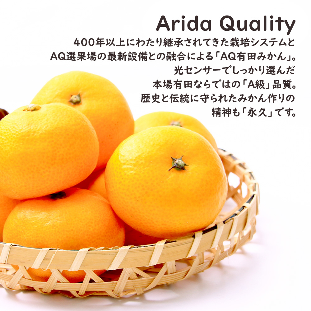 有田みかん　純宝丸　早生みかん10㎏入り2ケース AQ有田みかん ケース 箱売り 和歌山 10kg S M ミカン 蜜柑 フルーツ