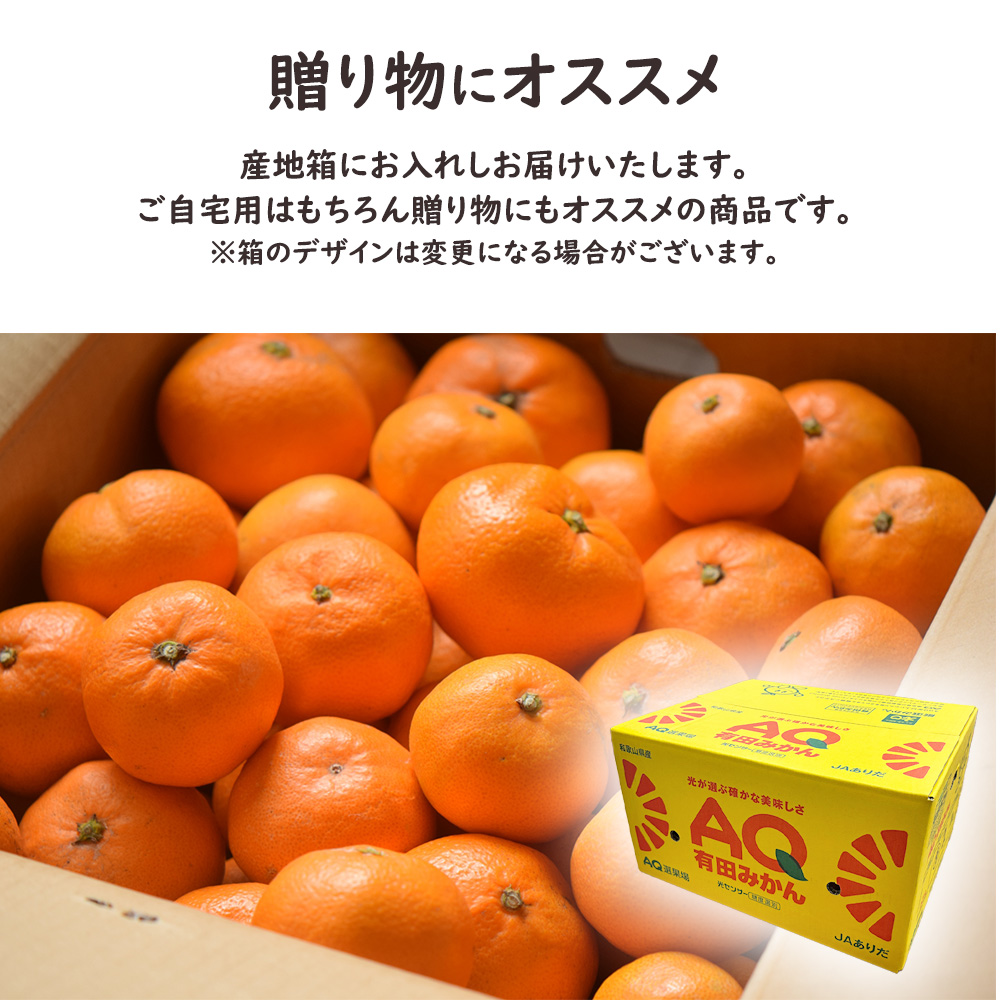 AQ有田みかん ケース 箱売り 和歌山 10kg S M ミカン 蜜柑 フルーツ