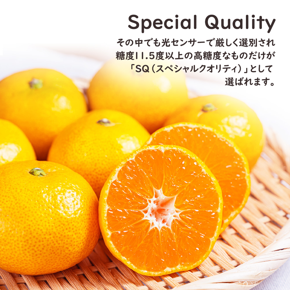 AQ有田みかんSQ ケース 箱売り 和歌山 10kg S M ミカン 蜜柑 フルーツ