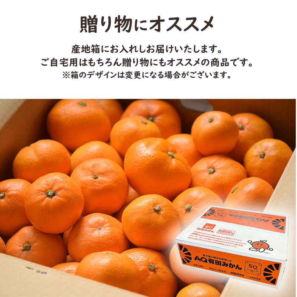 AQ有田みかんSQ ケース 箱売り 和歌山 10kg S M ミカン 蜜柑 フルーツ