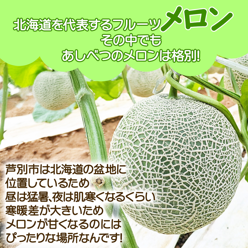 メロン