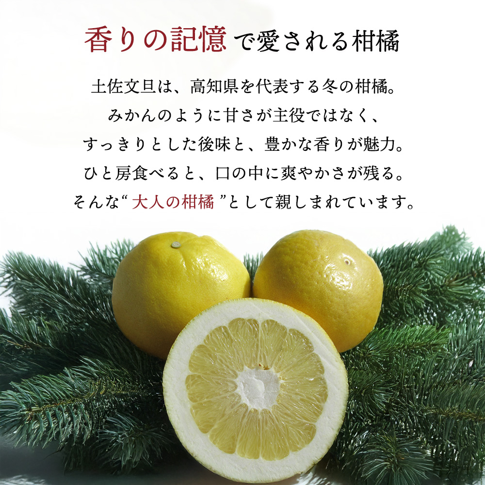 みのるさんの土佐文旦(ブンタン)15kg(箱込) tw-bun-0.jpg