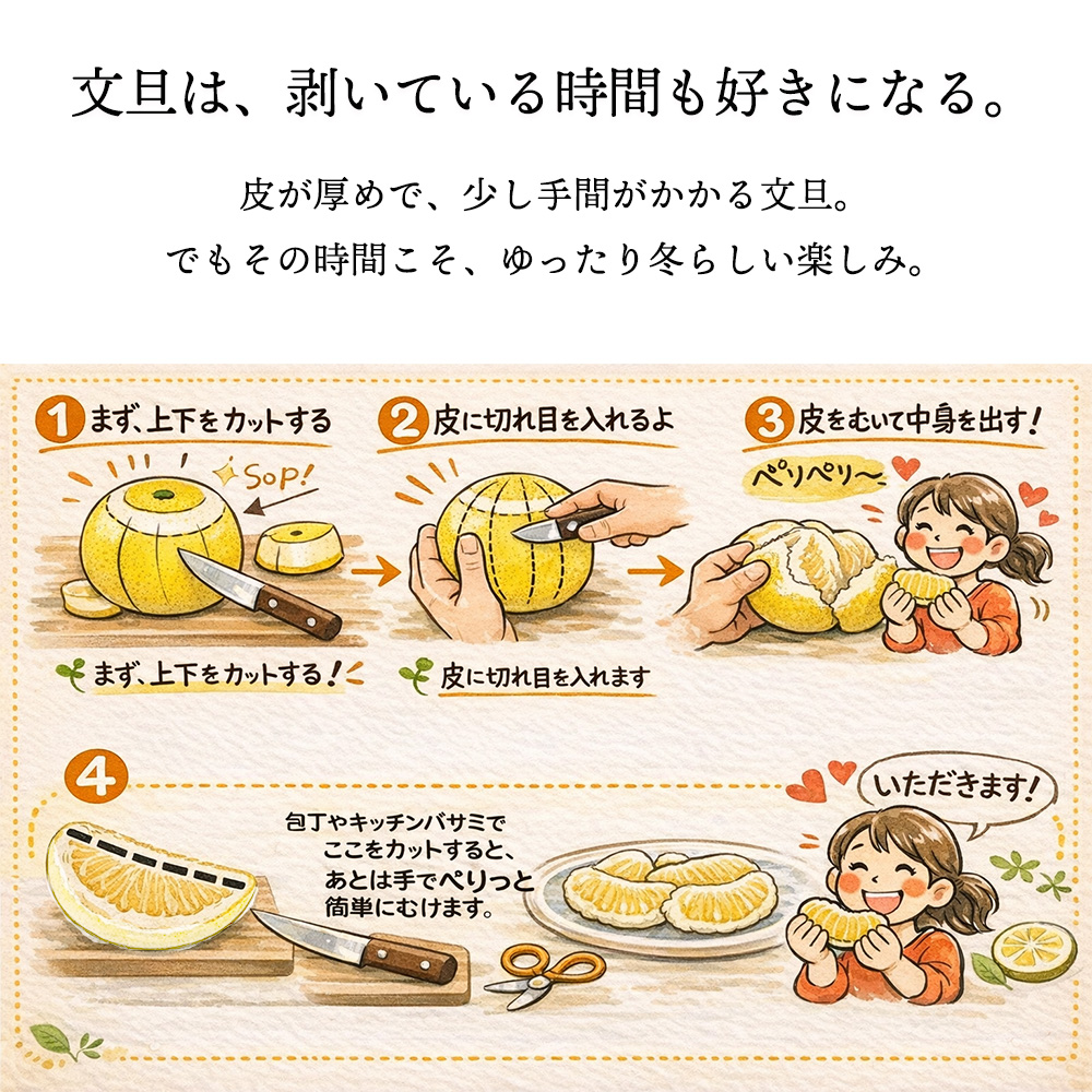 箱売り 土佐文旦 文旦 ブンタン ぶんたん ボンタン ザボン ポメロ L